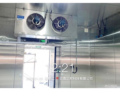 云南正邦科技320m3低温危险化学品冷库（化工防爆库）工程建造方案