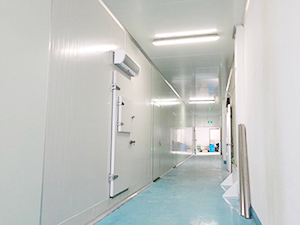 冷库工程完工图片