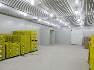 速冻冷库完工内景图片