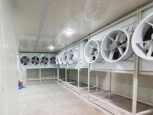 速冻冷库工程内景图