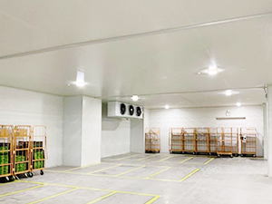 保鲜冷库建造完工图片