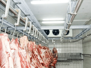 肉类冷藏库建造工程内景图
