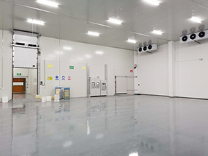 阴凉库工程案例图片