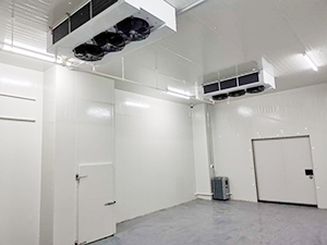 阴凉库工程案例图片