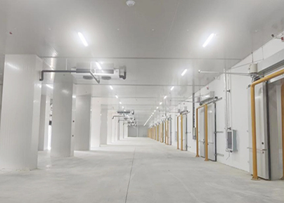 武汉运营冷库出租内部穿堂