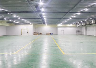 上海松江冷库运营招商内景展示图