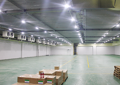 上海松江冷库运营内景展示图