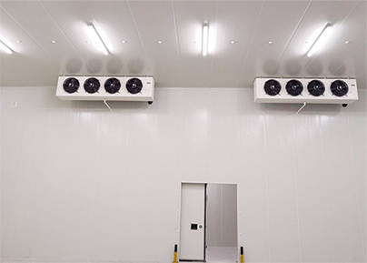 上海浦东冷库出租运营内景展示图