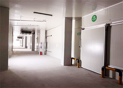 上海浦东冷库出租运营图片