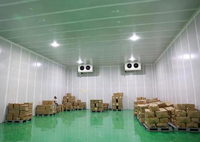 新疆冰容低温仓储冷库出租内景图