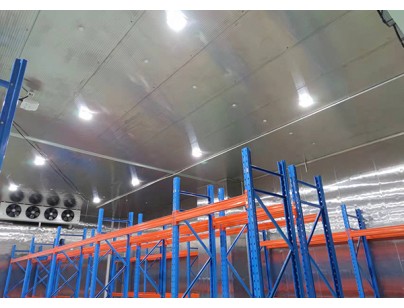 上海斯微4455m3生物医药冷库设计安装工程案例