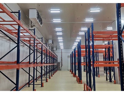 杭州养生堂万泰生物6600m3医药冷库（低温冷藏库）工程案例