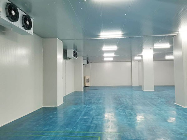 建个1000平方米的冷库要多少钱？