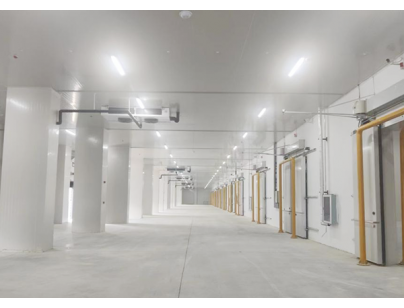 武汉长发永来冷链物流现代化高标变温冷库规划设计建造项目