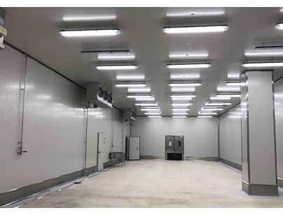 福建鹭燕药业2100m3医药物流冷藏库建设新工程案例