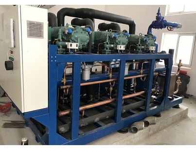 河北周黑鸭食品工业园物流电商食品加工冷库工程建造方案