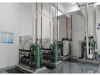 湖北周黑鸭80000m3生产加工型成品低温食品冷库工程建造方案