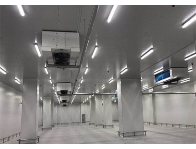 湖北周黑鸭80000m3生产加工型成品低温食品冷库工程建造方案