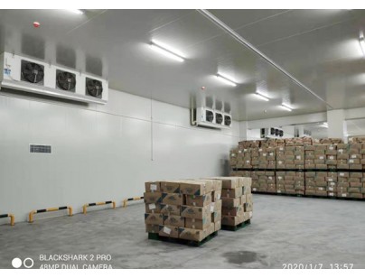 安徽洽洽股份49500m3食品原料加工冷库工程建造方案
