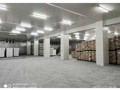 安徽洽洽股份49500m3食品原料加工冷库工程建造方案