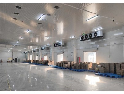 17000m3生鲜电商冷库叮咚买菜冷链物流配送中心冷库工程建造方案