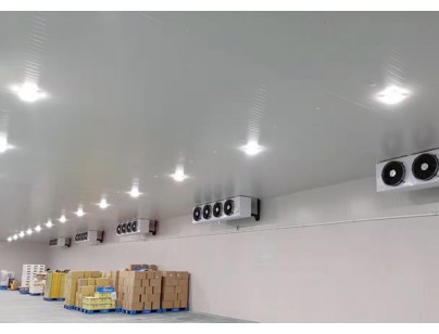 17000m3生鲜电商冷库叮咚买菜冷链物流配送中心冷库工程建造方案