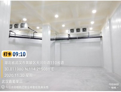 武汉鑫葡果品50000m3大型冷链物流冷库（低温冷冻库）建设方案
