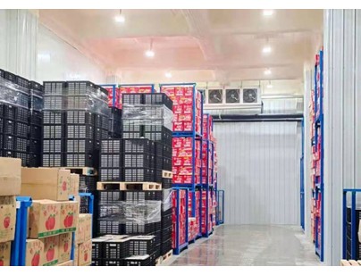 武汉鑫葡果品50000m3大型冷链物流冷库（低温冷冻库）建设方案