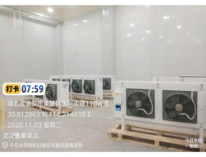 武汉鑫葡果品50000m3大型冷链物流冷库（低温冷冻库）建设方案