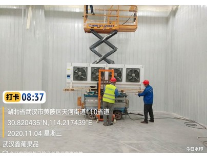武汉鑫葡果品50000m3大型冷链物流冷库（低温冷冻库）建设方案