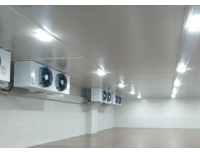 河北尚品（澳门）15000m3仓储物流低温冷藏冷冻库建造方案