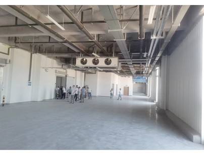河北尚品（澳门）15000m3仓储物流低温冷藏冷冻库建造方案