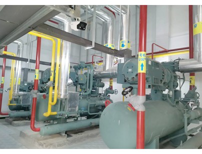 河北尚品（澳门）15000m3仓储物流低温冷藏冷冻库建造方案