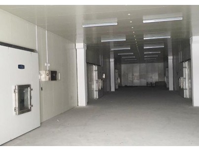 新疆新伟盟6000m3气调保鲜库工程建造方案