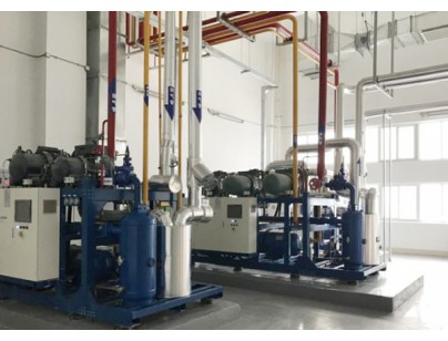 新疆新伟盟6000m3气调保鲜库工程建造方案