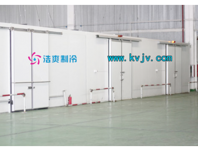 雅玛多1600m3大型物流冷冻库（低温冷藏库）工程建造方案