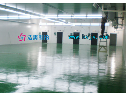 雅玛多1600m3大型物流冷冻库（低温冷藏库）工程建造方案