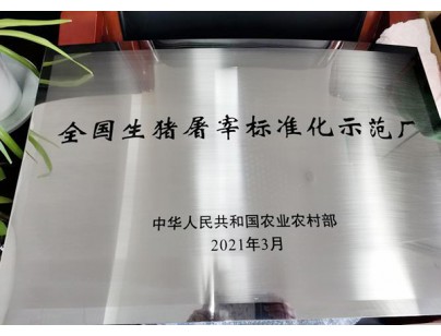 杭州生猪屠宰场白条肉速冻冷冻库工程建造设计方案