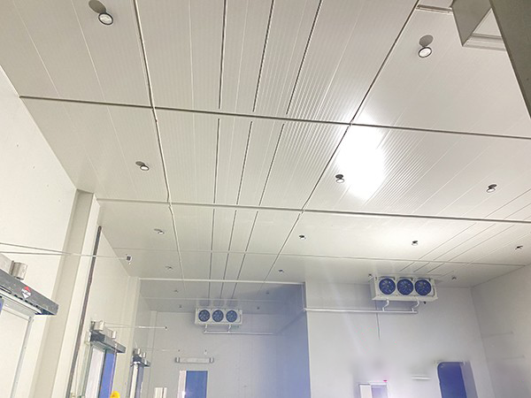 大型冷库建造工程设计方案