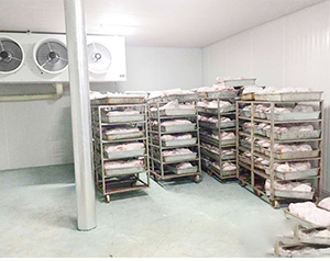 屠宰冷库价格多少钱一平方米？