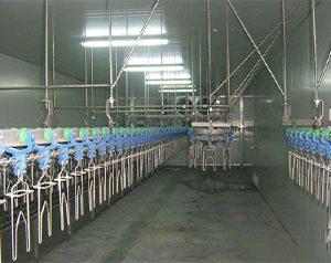 屠宰场生产冷库预冷间温度要求是多少？