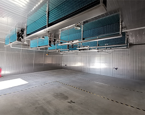 温州防爆冷库建造费用多少钱？