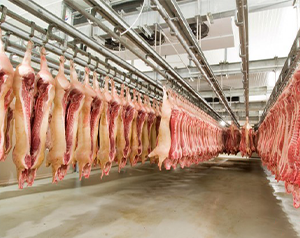 2000立方米食品加工屠宰冷库建造价格及配置清单