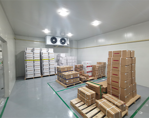 四川gsp药品类型诊断试剂冷库建造施工方案