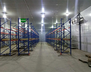 灭活菌类疫苗冷藏库建设标准,医疗冷库储存温度要求标准