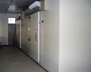 建造8500立方米2~7℃气调保鲜冷库安装造价多少钱？