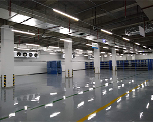 小型体外诊断试剂冷库温度需求以及投入资金是多少？