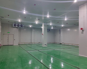 防爆冷库工程施工技术规范下的设备测试与验收标准