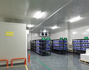 疫苗冷库建造中的空间规划和布局要点