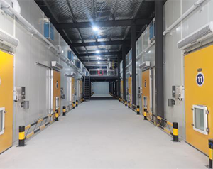 四川成都修建2500平方的冷冻库需要多少钱?